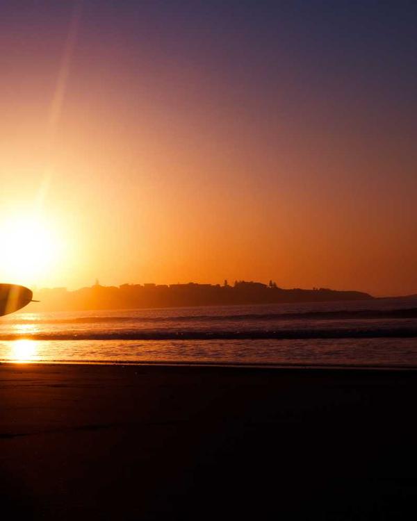 フリーランサー