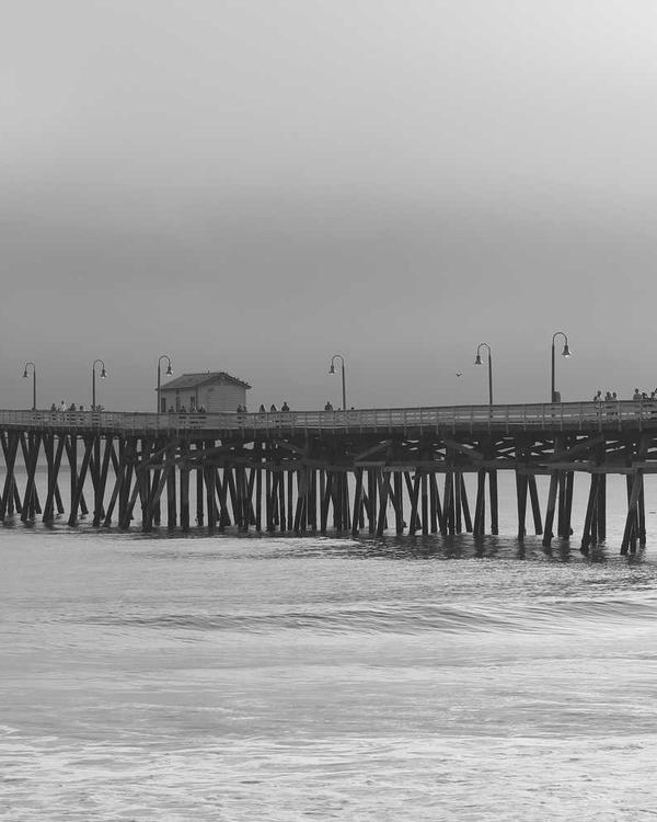 フリーランサー