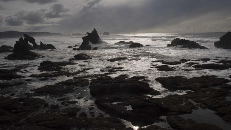 【長期/月額】DevOps エンジニア（CI/CD構築）